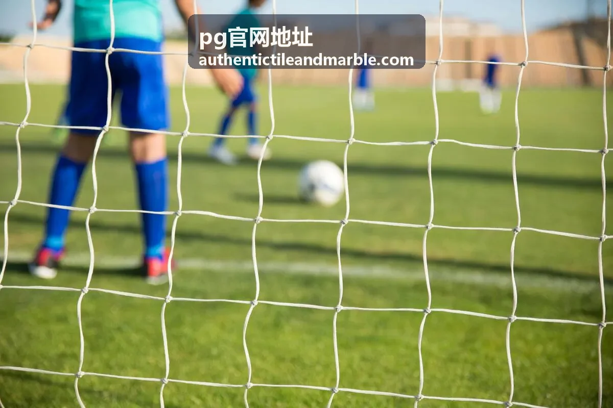pg官网地址页面加载异常排查过程示意